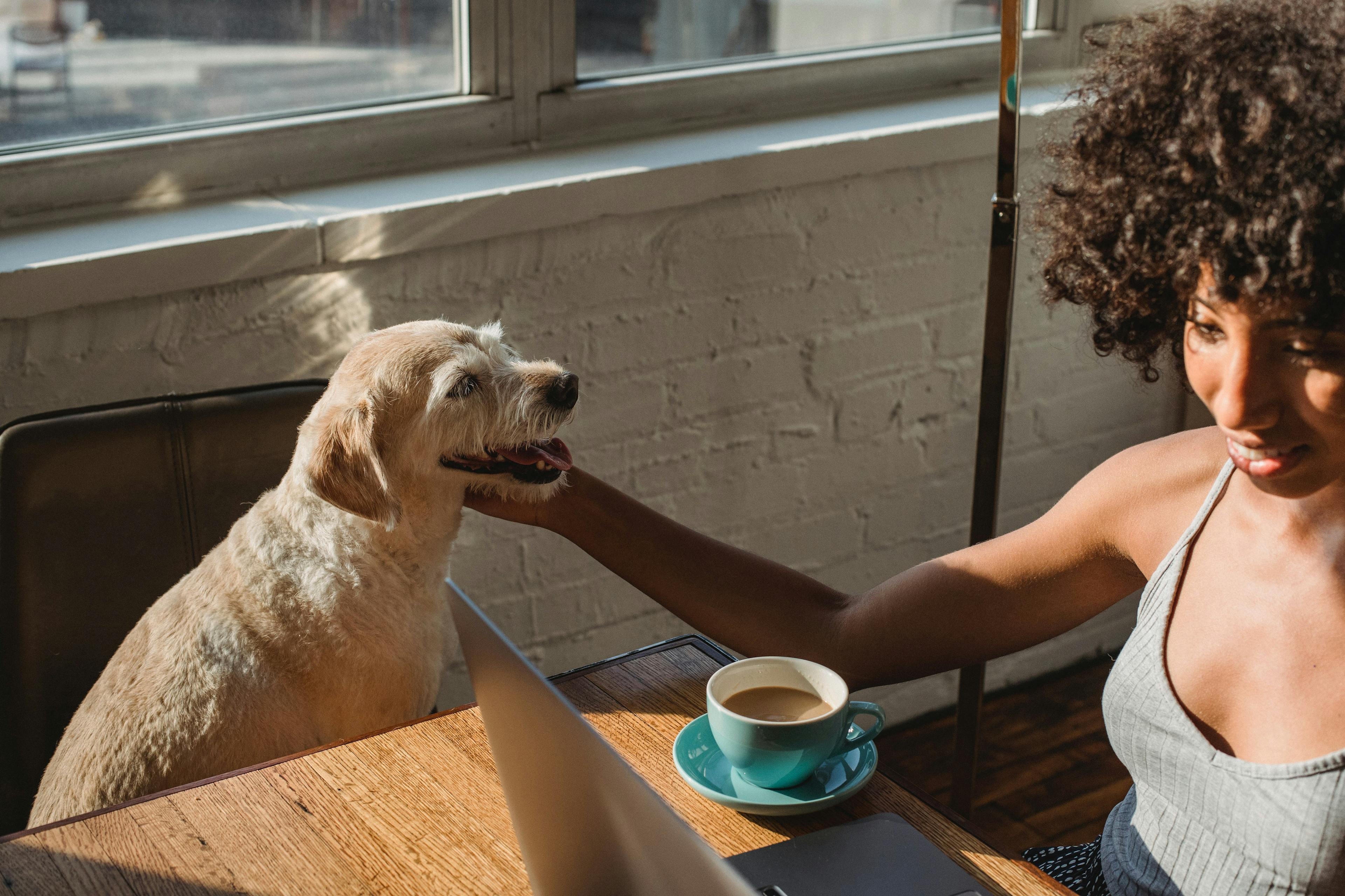 Leende kvinna som njuter av en solig arbetsplats med sin glada hund bredvid en kopp kaffe och en bärbar dator.